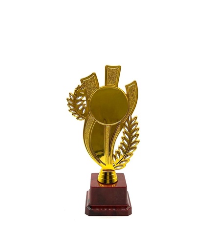 درع علي قاعده مستورد