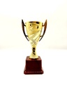 كاس نجوم A
