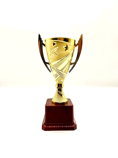 كاس نجوم A