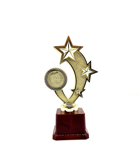 درع نجمه